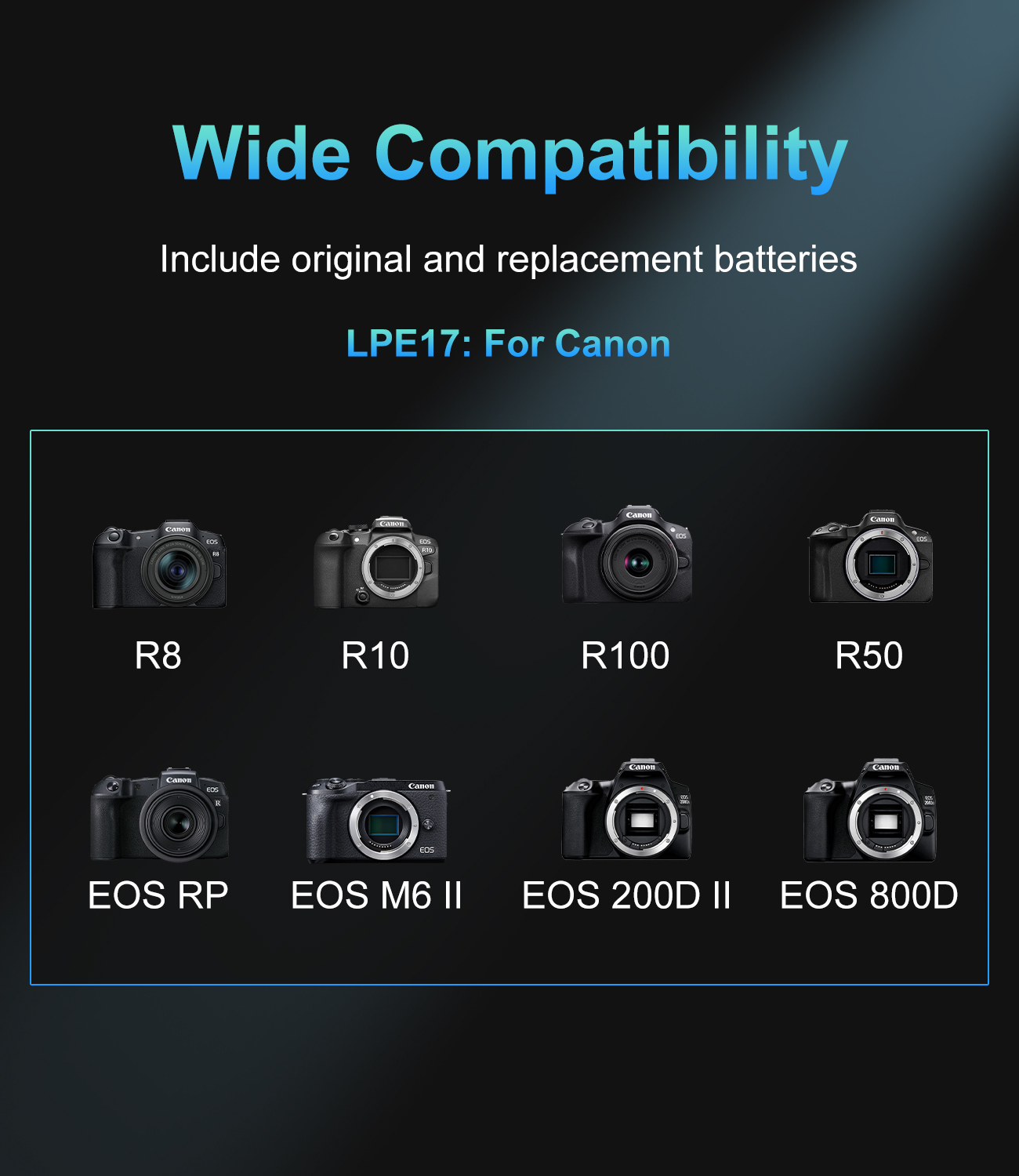 Cargador de doble ranura PD US - Canon Camera Eos R8 reseña y precio